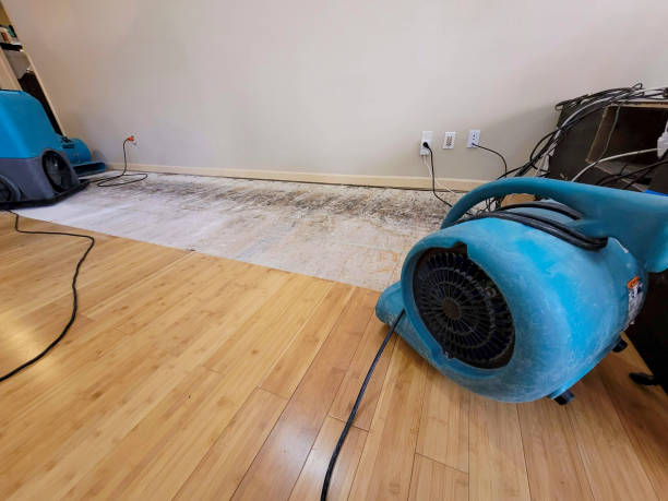 Professional Ceiling Water Damage Repair technician working in Dixmont, ME